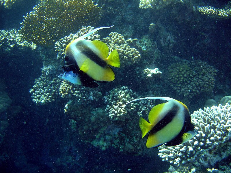 13-03-14 086 Mary.jpg